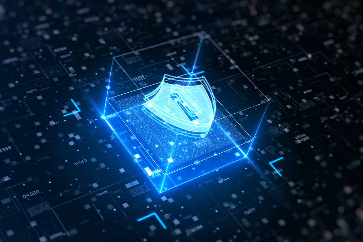 Segurança Avance Brokers